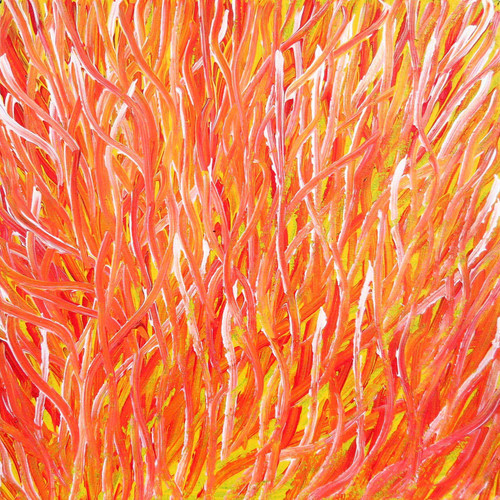 Barbara Weir - MB056184