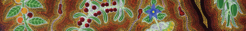 Aboriginal art bush tucker and plants