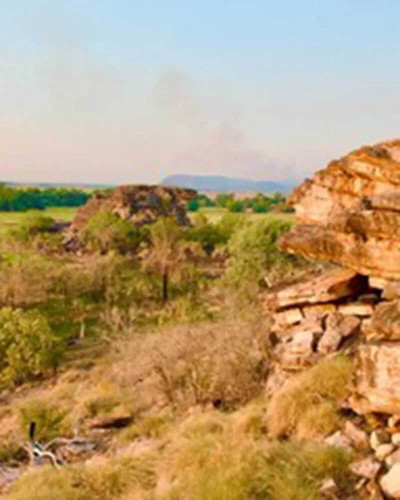 Arnhem Land Artists