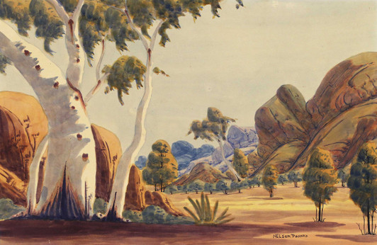 Nelson Pannka - MBL504