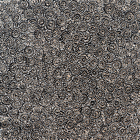 SP9863-Jilly Jones Petyarre