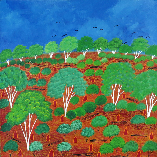 Selina Teece Pwerle - MB061299