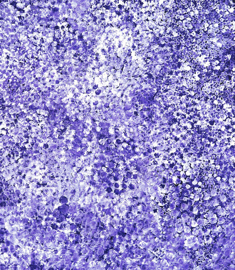 Bessie Purvis Petyarre - MB061435