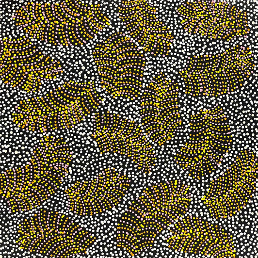 Valorine Kngwarreye Morgan - SP10325