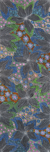 Susan Hunter Petyarre - MB061907