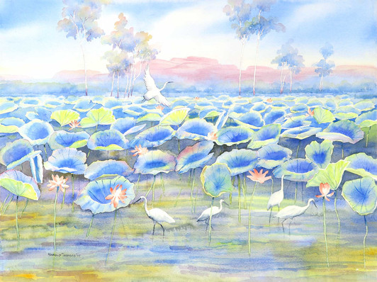 Harold Thomas - MB037028