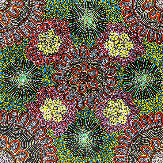 Susan Hunter Petyarre - SP10720