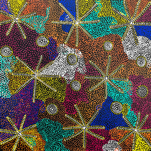 Janie Petyarre Morgan - SP10950