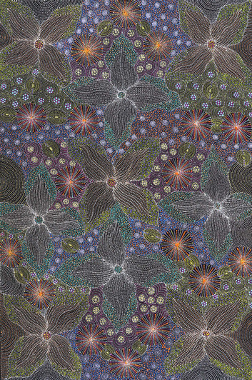 Susan Hunter Petyarre - MB062471