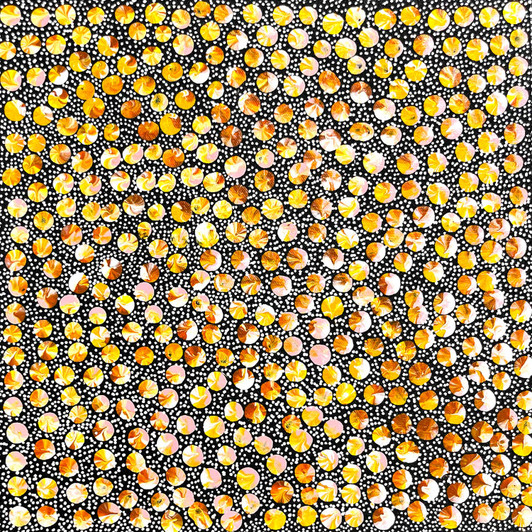 Eileen Bird Kngwarreye - SP11007