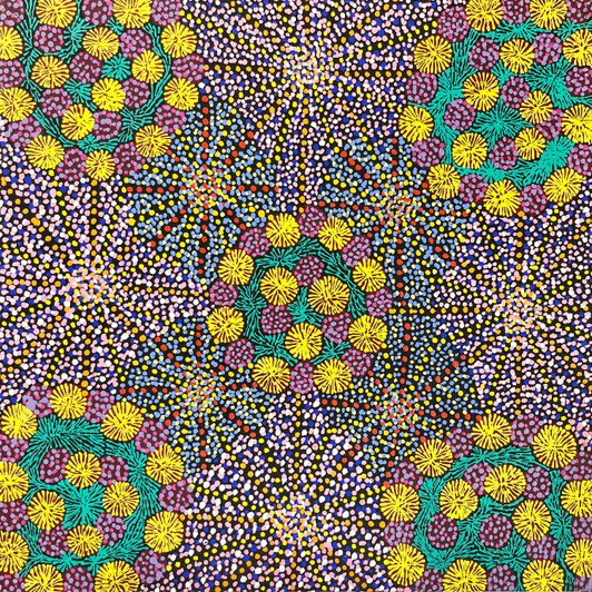 Michelle Lion Kngwarreye - SP11043