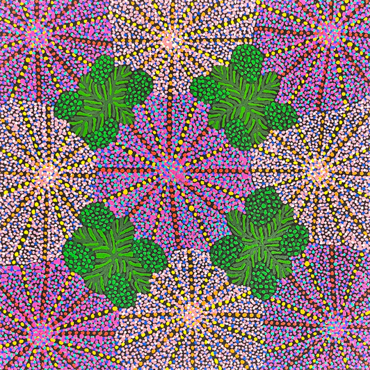 Michelle Lion Kngwarreye - SP11058