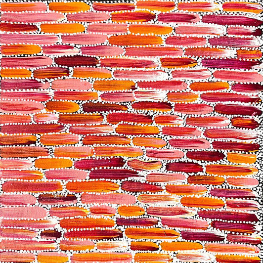 SP11196-Shikera Petrick Mills Petyarre