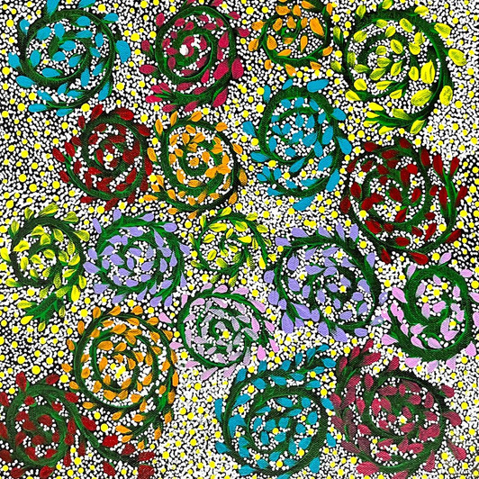 SP11152-Taralyn Morton Petyarre