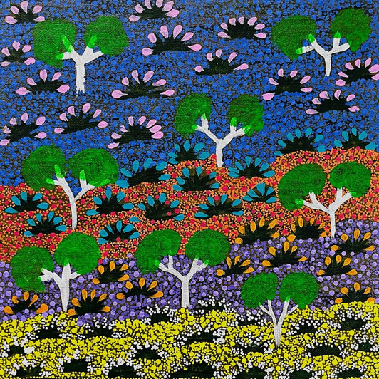 SP11153-Taralyn Morton Petyarre