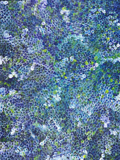 Kate Petyarre (Pitjara) - MB062679