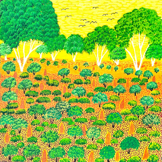 Selina Teece Pwerle - SP11216