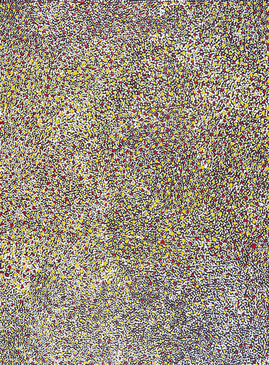 Katie Kemarre - MB062758