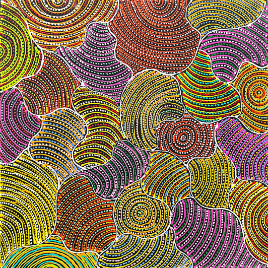 Jessie Hunter Petyarre - SP11252