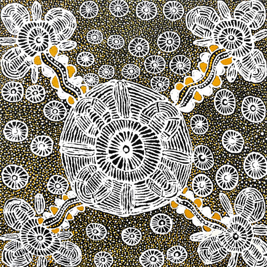 June Bird Ngale - SP11249