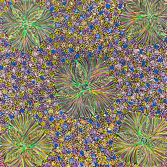 Jessie Hunter Petyarre - sp11273