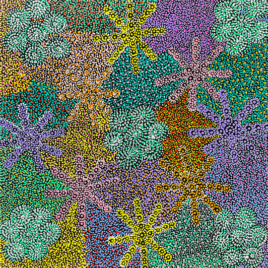 Jessie Hunter Petyarre - sp11286