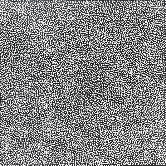 Lizzie Moss Pwerle - sp11288