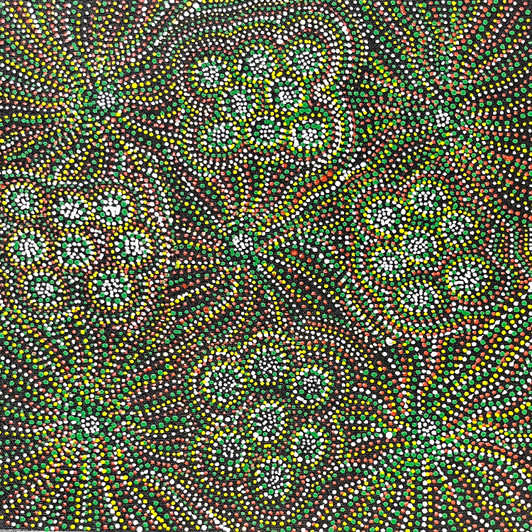 Lizzie Moss Pwerle - sp11295