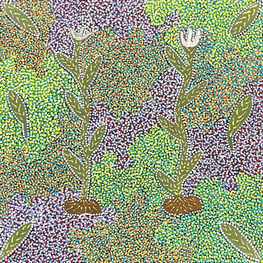 Bronwyn Payne Ngale - sp11297