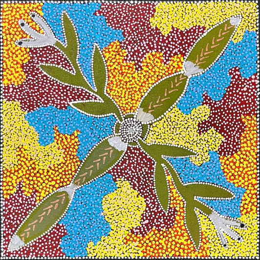 Bronwyn Payne Ngale - sp11298