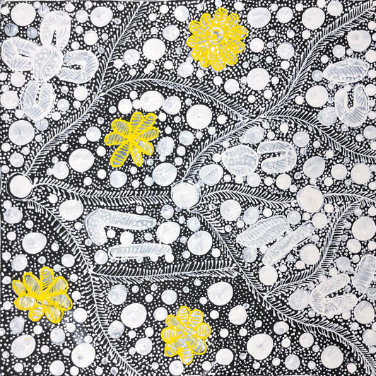 Rosemary Bird Mpetyane - Aboriginal Artist