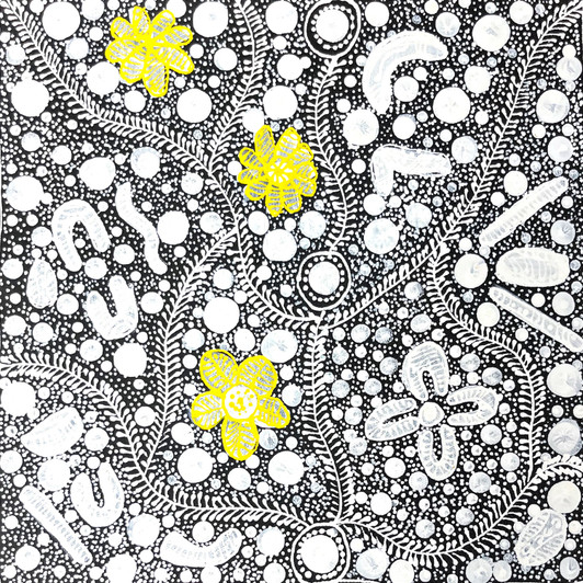 Rosemary Bird Mpetyane - Aboriginal Artist