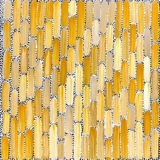 Shikera Petrick Mills Petyarre - SP11334