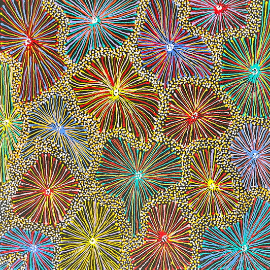 Jessie Hunter Petyarre - SP11343