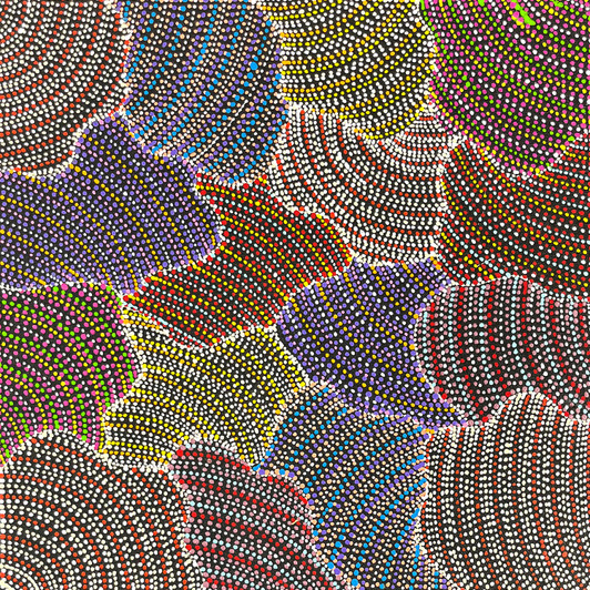 Annie Hunter Petyarre - sp11344