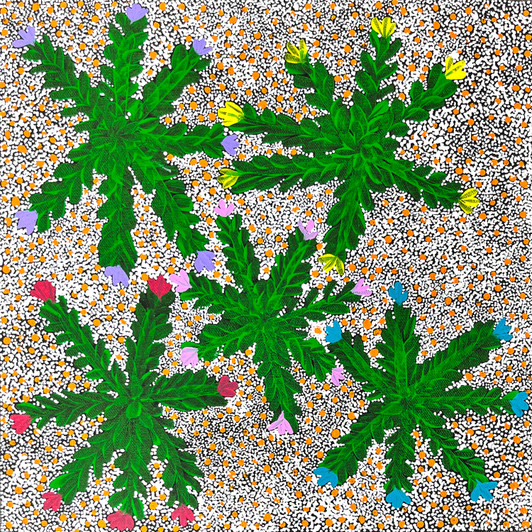 Taralyn Morton Petyarre - SP11354