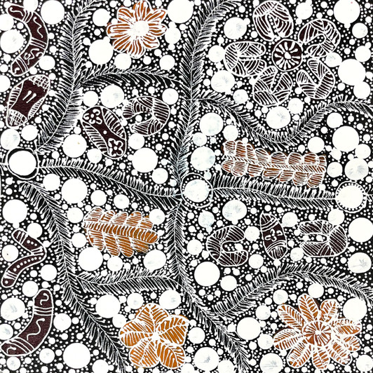 Rosemary Bird Mpetyane - Aboriginal Artist