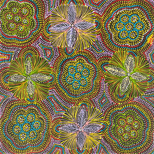 Jessie Hunter Petyarre - sp11379