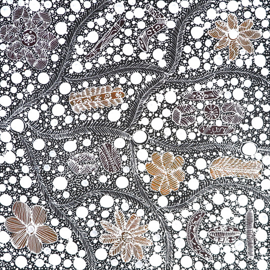 Rosemary Bird Mpetyane - Aboriginal Artist