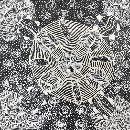 June Bird Ngale - SP11392