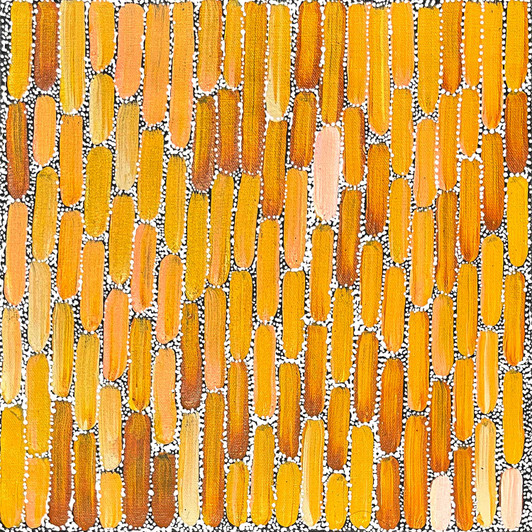 Shikera Petrick Mills Petyarre - sp11410