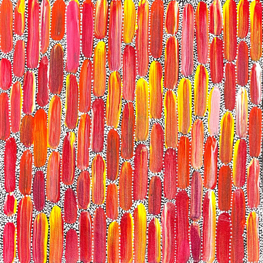 Shikera Petrick Mills Petyarre - SP11412