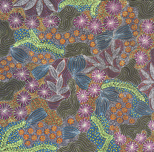 Susan Hunter Petyarre - MB063012