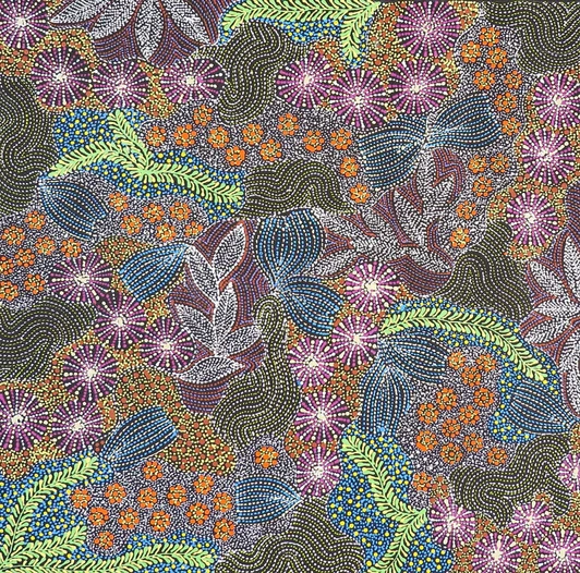 Susan Hunter Petyarre - MB063012