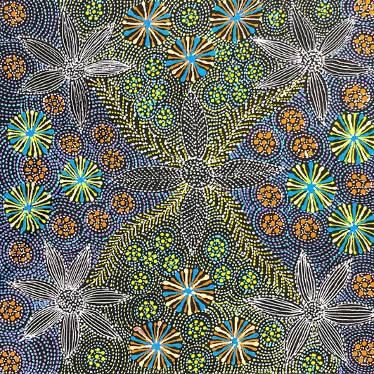 Susan Hunter Petyarre - SP11417