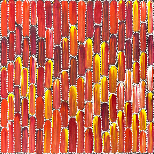 Shikera Petrick Mills Petyarre - SP11423