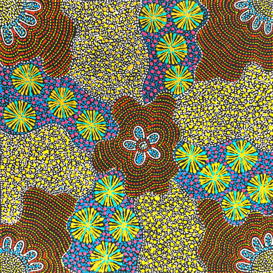 Susan Hunter Petyarre - SP11424