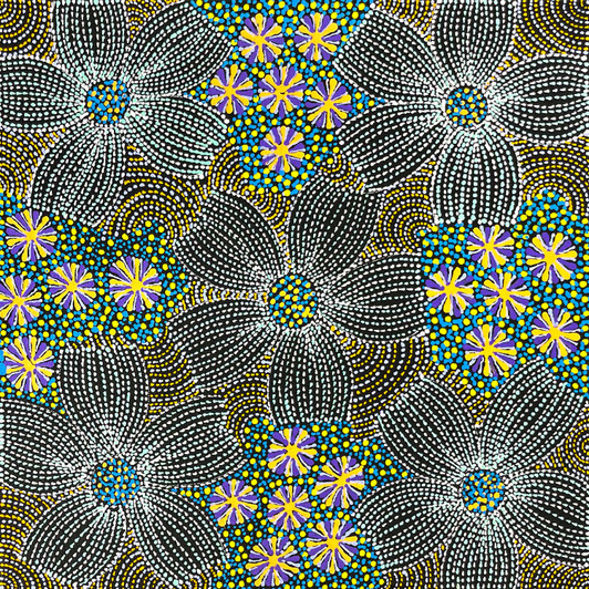 Susan Hunter Petyarre - sp11426