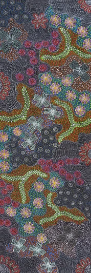 Susan Hunter Petyarre - MB063044