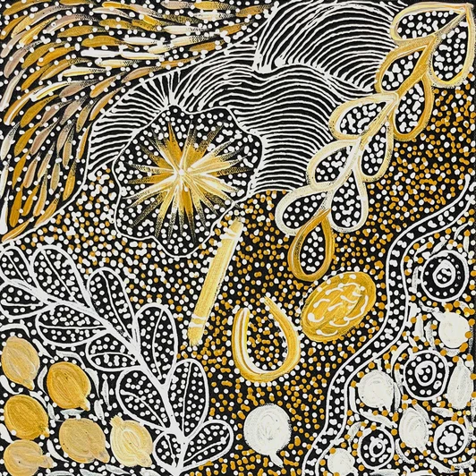 Janet Golder Kngwarreye - SP11445